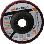 Evotools Disc Lamelar Nylon EvoTools (684243)