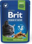 Brit Premium Cat tasakos csirkeszeletekkel ivartalanított macskáknak (72 x 100 g = 3 karton) 7.2kg