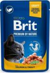 Brit Premium Cat alutasak lazaccal és pisztránggal (48 x 100 g = 2 karton) 4.8kg