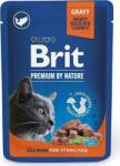 Brit Premium Cat tasakos macskaeledel ivartalanított macskáknak lazaccal (24 x 100 g = 1 karton) 2.4kg