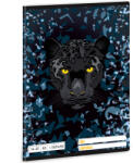 Ars Una Ars Una: Black Panther A/5 1. osztályos vonalas füzet 14-32 (53585295)