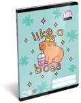 ICO Lollipop Capybara: Тетрадка на редове A5 - от 4. клас (7500170000)