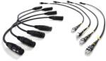 FieldCast Set 8 cabluri patch FieldCast pentru Power Panel One (4 XLR + 4 LC)