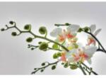 Komar Fototapet floral Orhidee albe