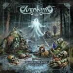 Elvenking - Reader Of The Runes (2 LP) (4255698501018)