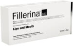 Fillerina Tratament pentru buze si conturul buzelor Grad 5 Plus Fillerina 932, 7 ml, Labo