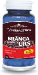 Herbagetica S. R. L Branca Marelui Urs, 60 capsule, Herbagetica