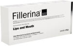 Fillerina Tratament pentru buze si conturul buzelor Grad 4 Plus Fillerina 932, 7 ml, Labo