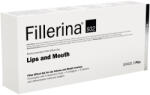 Fillerina Tratament pentru buze si conturul buzelor Grad 3 Plus Fillerina 932, 7 ml, Labo
