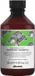 Davines Naturaltech Renewing Davines sampon 250 ml (HAVNSNATTCWXN128214)
