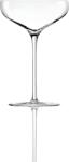 KnIndustrie Pahar de șampanie Q2 300 ml (2340Q2040) Pahar