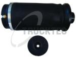 Trucktec Automotive Arc pneumatic, directie TRUCKTEC AUTOMOTIVE 02.30. 307 (02.30.307)