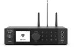 Arylic A100