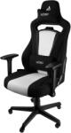 Nitro Concepts E250-BW