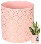 KOTARBAU Mască ghiveci ceramică rotundă cilindrică roz 12 cm (R085)