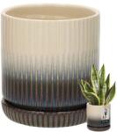 KOTARBAU Mască ghiveci ceramică rotundă maro-crem 11, 5 cm (R048)
