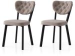 Hanah Home Enzo - 808 V2 szék szett (2 darab), fekete-szürke
