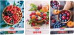 Herlitz Caiet A4 Herlitz, 60 file, 70 g/mp, dictando, Motiv Healthy snack (9497580)