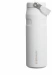 STANLEY 1913 Flip Straw drinking bottle with straw 0.7L - thermal mug cools for 10 hours - 3 days ice-cold - BPA-free - leak-proof - for cup holders - dishwasher safe - frost - 10-11283-144