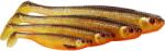 WESTIN SHADTEEZ SLIM 12cm/10g Gold Rush 2x (P022-578-014)