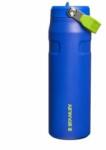 STANLEY 1913 Flip Straw Drinking Bottle with Straw 0.7L - Thermal Mug Cools for 10 Hours - Ice Cold for 3 Days - BPA Free - Leakproof - For Cup Holders - Dishwasher Safe - Cobalt Chartreuse - 100000118031