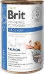 Brit Veterinary Diets Dog & Cat Recovery konzerv kutyáknak és macskáknak (18 x 400 g) 7.2kg