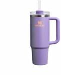 STANLEY 1913 Quencher H2.0 Flowstate Drinking Bottle with Straw 0.89L - Thermo Mug Cools for 9 Hours - 40 Hours Ice Cooled - Thermos Bottle BPA Free - Stainless Steel Drinking Cup - Periwinkle Shimmer - 10000