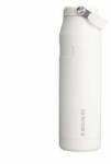 STANLEY 1913 Flip Straw Drinking Bottle with Straw 1.06L - Thermal Mug Cools for 17 Hours - 4 Days Ice Cold - BPA Free - Leakproof - For Drink Holders - Dishwasher Safe - Frost - 100000108035