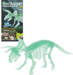 Produs de Import Dinozaur, schelet care lumineaza in intuneric, figurina Figurina
