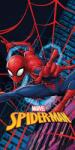Halantex Spiderman, prosop din bumbac, 70x140 cm
