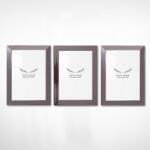  Aberto Design Photo Frame (3 Pieces) Silver 3IGFC1027_1318