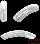 Essaco - Polygel Műköröm Tip - 120Db-Os Kiszerelés - Qqs-230670 (QQS-230670)