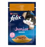 FELIX Fantastic Junior Csirkehússal 85g Tasak macskáknak