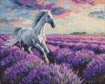 Ideyka Set goblen cu diamante, cu sasiu, Galop in campul de lavanda, 40x50 cm (AMO20227)