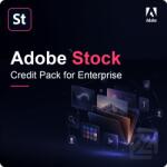 Adobe Stock Credit Pack for Enterprise 1 - 9 User 1000 Credit Pack (65327739CA01A12)