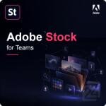 Adobe Stock for Teams 1 - 9 User 750 Assets (65305243CA01A12)