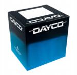 Dayco Vízpumpa - allegro - 10 405 Ft