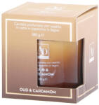 AdTrend Lumanare parfumata in borcan sticla aroma Cardamom si Lemn Oud 10 x 10 cm (117936B)