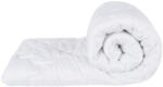 Somnart Set 2 pilote 4 Anotimpuri Viseo (200+120g) 140x200, microfibra, lavabile la 60 de grade (SET.4ANOT.140X200.VISEO)