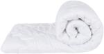 Somnart Set 2 pilote 4 Anotimpuri Viseo (200+120g) 180x200, microfibra, lavabile la 60 de grade (SET.4ANOT.180X200.VISEO)