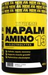 FA Nutrition Xtreme Napalm Amino 13 + Electrolytes, fructul dragonului, 450 g, FA Nutrition