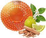 G-Screen G-PLUS Bergamot & Sandalwood - bergamott és szantálfa illatú piszoár rács, húgykő- és vízkőlazító enzimmel, 60 napos (G-PLUS-BERGAMOT)