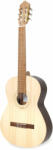 APC EUC S GTC NY Klasszikus gitár - pepita