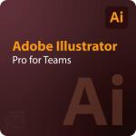 Adobe Licenta ADOBE Illustrator for teams, ALL, Multiple Platforms, Multi European Languages, Annual, 1 User, Level 1 1 - 9, Subscription (30004335CC01A12)