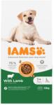 Iams 2x12kg IAMS Advanced Nutrition Adult Large Dog bárány száraz kutyatáp