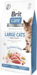 Brit Care Large Cats Power & Vitality Fresh Duck & Chicken 2kg
