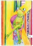 APERTA Caiet A5, 48 file, dictando, APERTA Povesti Bonjour Madame Frog