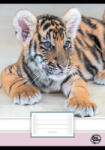 OPTISCHOOL Füzet Tűzött A/5 20-32 Sima Tiger (27I2032025)