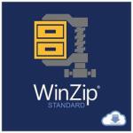 Corel WinZip 29 Standard Licență Permanentă Windows 1 Utilizator (LCWZ29STDML1)
