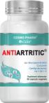 Cosmo Pharm Antiartritic® , Dureri Articulare, Antiinflamator Artrita